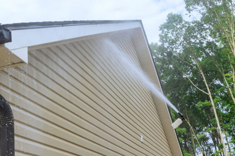 Home Siding Cleaning