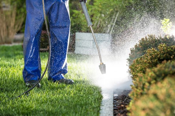 Cost of Curb Cleaning in Baton Rouge