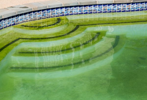 Pool Deck Algae Removal in Baton Rouge