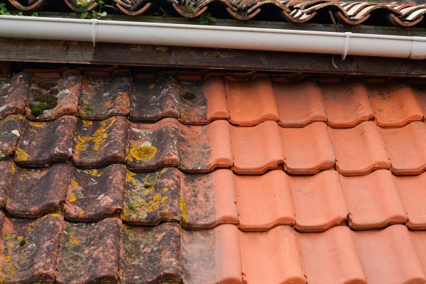 Industrial Roof Cleaning in Baton Rouge