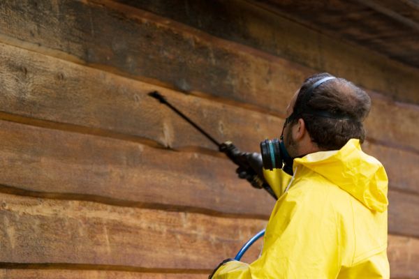 Cedar Siding Washing in Baton Rouge